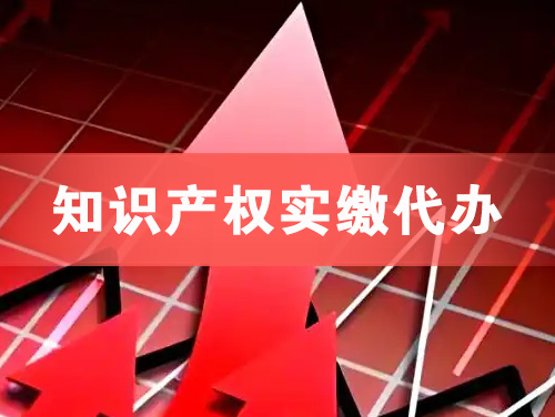 穆棱知识产权实缴资本代办